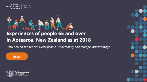 Screenshot of SIA data tool Experiences of people 65 and over in Aotearoa New Zealand as at 2018